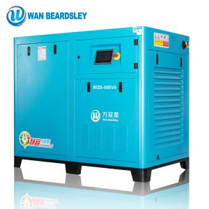 Permanent Magnetic Air Compressor