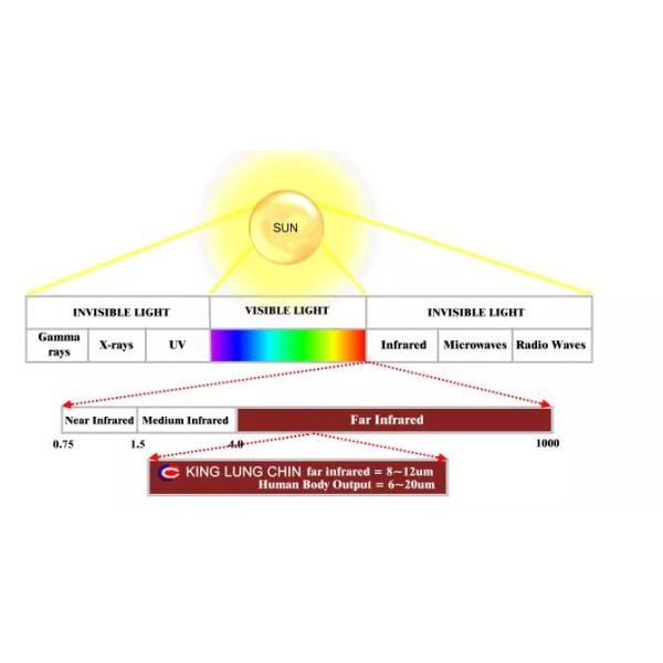 Ovary Care Infrared Sauna Bed / Far Infrared Dome With 5 - 60 Minutes Time Setting