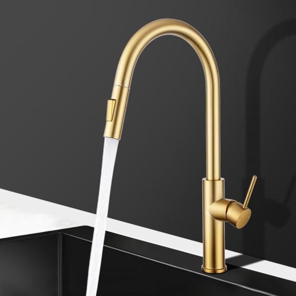 Modern Brass Kitchen Tap with Pull Out Sprayer and 360 Degree Swivel in Brushed Gold