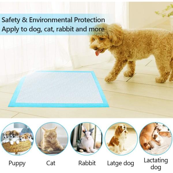 Value Pack Pet Training Pads 56*56cm Fast Drying Leak-Proof Mats for Small Animals