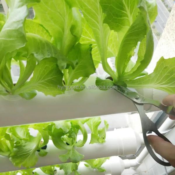 Standard Thickness Round PVC Pipes Hydroponic NFT System for Garden Cultivation