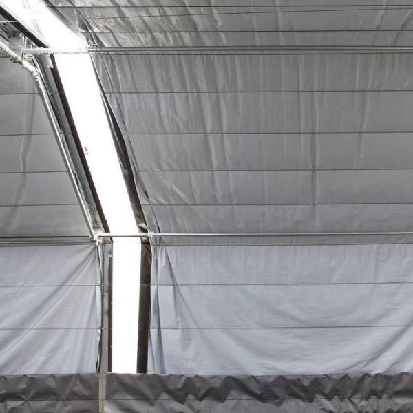 Commercial Greenhouse JX-h0075 Hydroponic Growing System for Vegetable Production