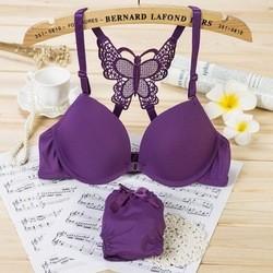Back Front Closure Custom Underwear Set Women Cross Butterfly Bras Panties Set