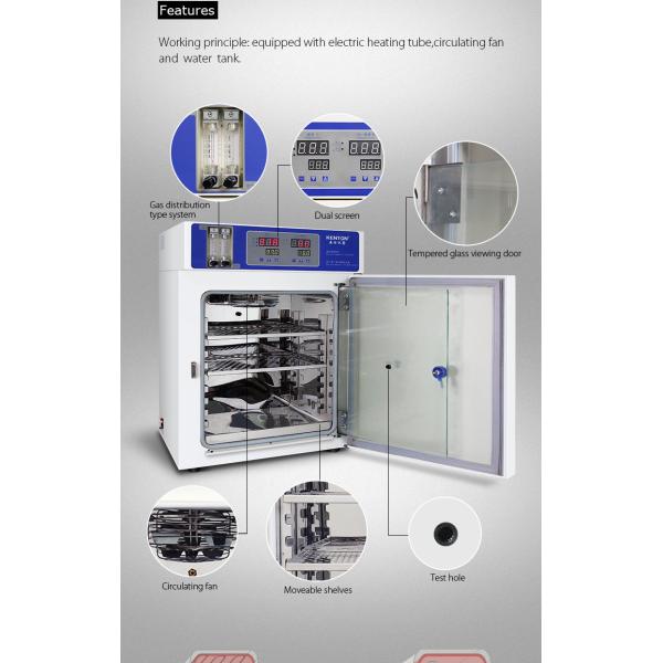 Stainless Steel Inner Cell Culture Incubator Lab Tissue Culture Incubator 160L
