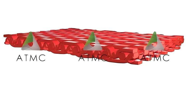 Double Layer DCF2304 Dryer Fabric for Paper Making Machine with Extended Warp Float Weave Double Cloth Structure Provides High Stability, Smooth Sheet Handling and Reliable Drying Performance