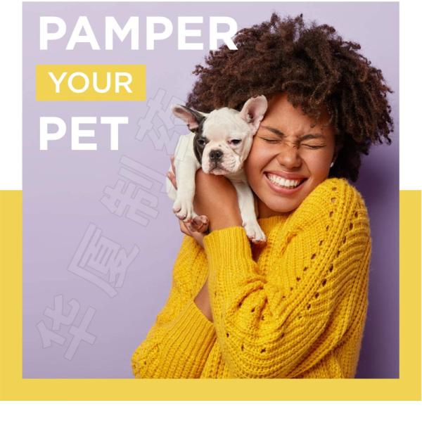 Private Label 400ML Smelly Dog Shampoo For Dry Skin