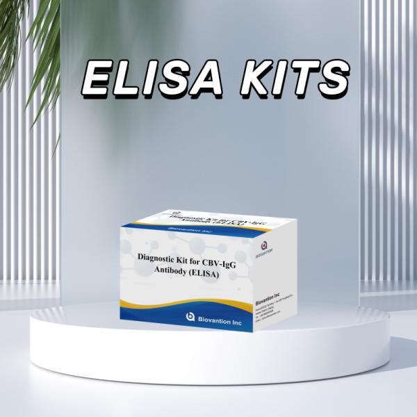 Sensitivity Diagnostic Kit for CBV-IgG Antibody human detect Elisa Kits for Precise Sample Type Detection