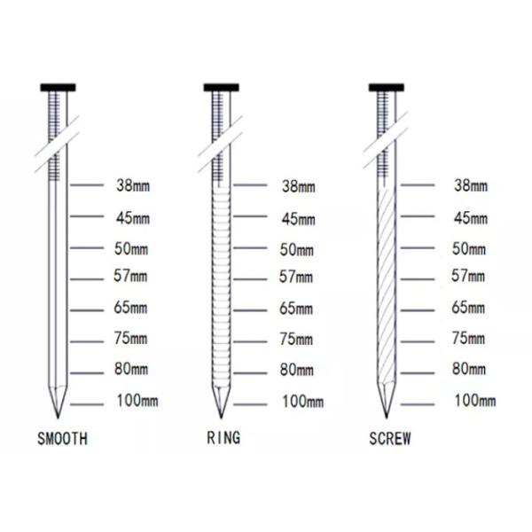 плоской головки ногтей длины 50mm общее хвостовика извива свободной кольцевое