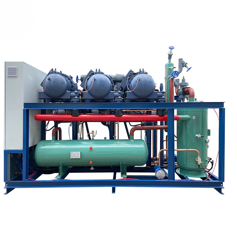 2000kg Screw Parallel Unit Made of Sturdy Metal for Industrial Applications walk in cooler