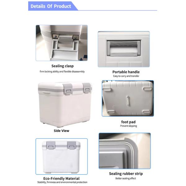 Phefon Portable 6L Hard Cooler with Comfortable Handle Design