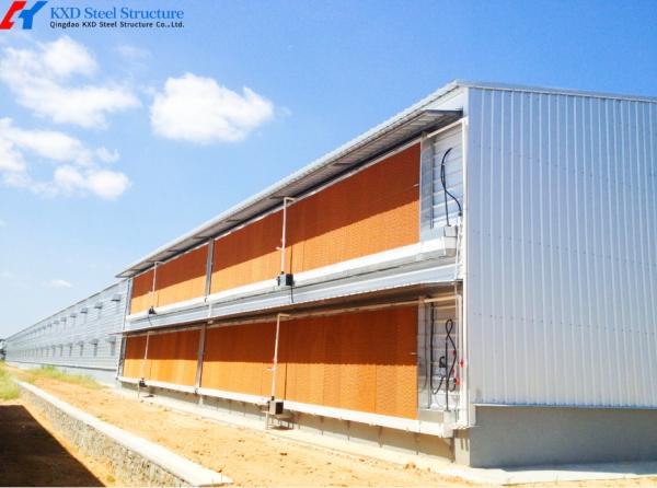 Prefabricated Steel Poultry Shed with Automatic Feeding and Drinking Systems