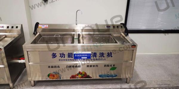 Stainless Steel Vegetable Fruit Mini Washing Machine With Ozone for 200-400kg/h Capacity