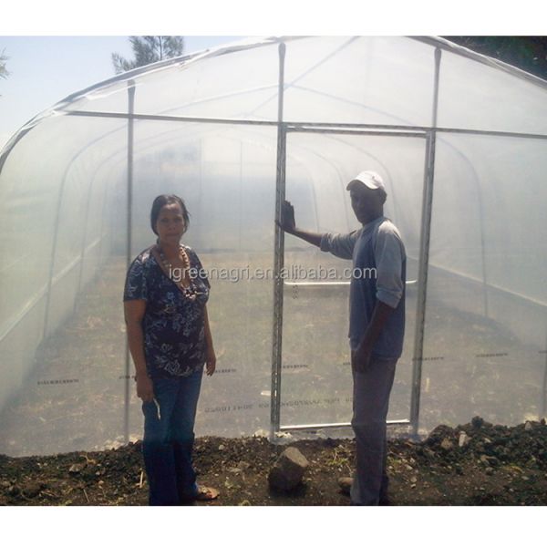 Galvanized Steel Frame Agricultural PE Film Low Cost Garden Green Houses for Plant Growing
