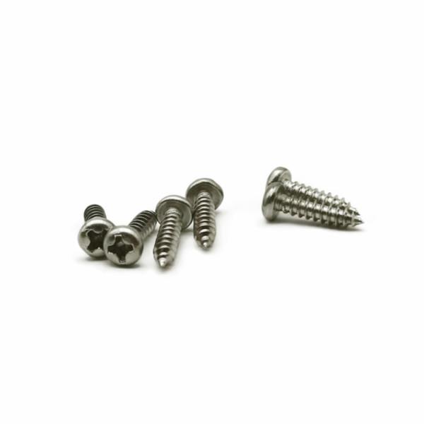 Forjamento frio de aço inoxidável de PA3.0X12 Pan Head Self Tapping Screws