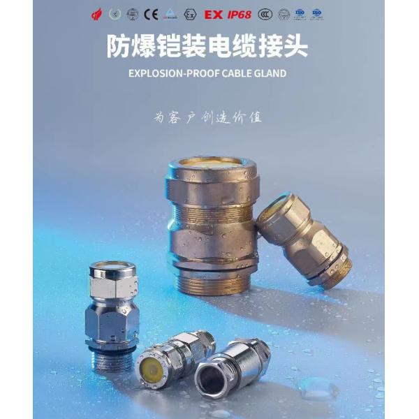 Waterproof IP68 Cable Gland PA66 brase Stainless steel