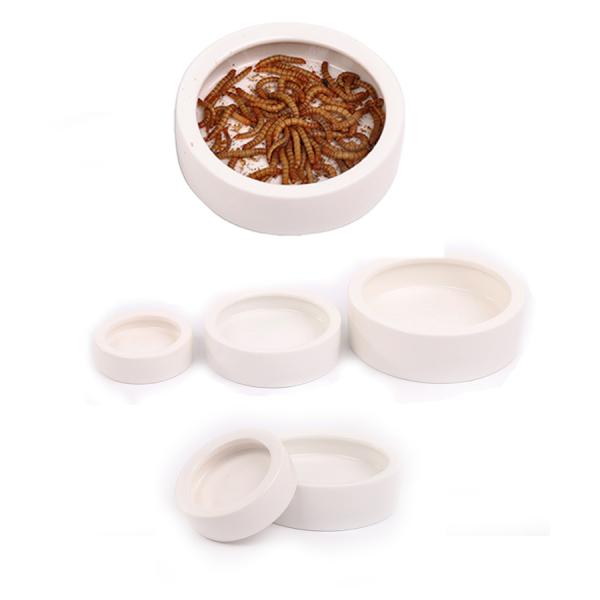 Cuenco para mascotas evita que los gusanos del pan escapen Lagarto Cerámica Plato de agua para alimentos Reptil