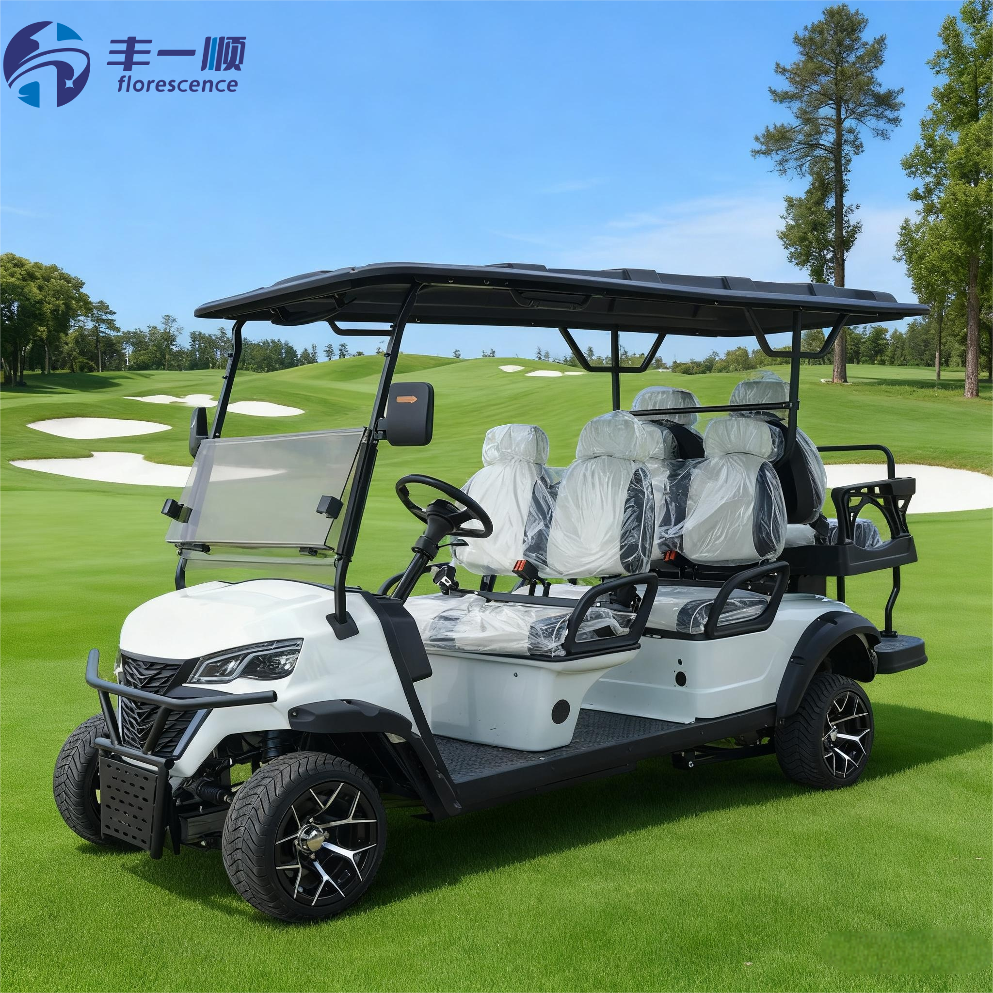CE Certified White 4+2 Seat Electric Golf Cart with Lithium Battery