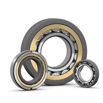 P6  NU 204 ECP SKF Roller Bearings With Catalogue