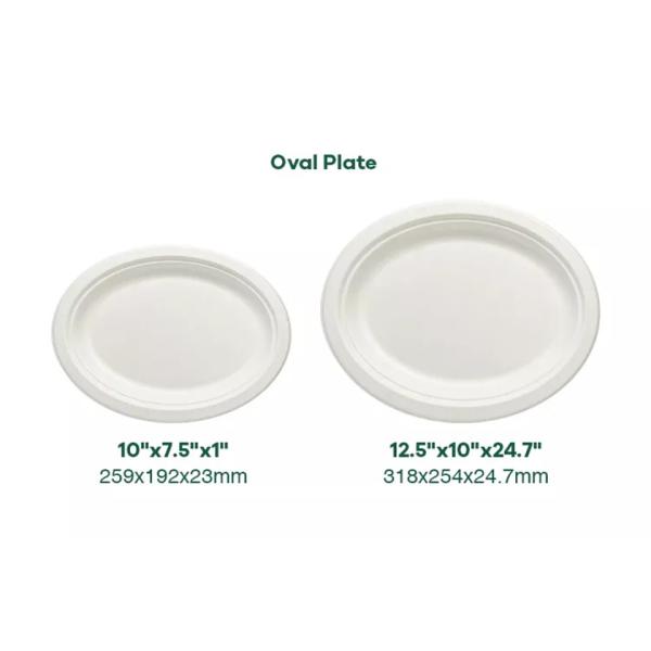 Renewable 8in 10in Biodegradable Bagasse Tableware Plate Pfas Free Take Out Containers