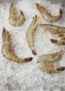 Лучшая машина для изготовления ледяных хлопьев для конкурентоспособной и безопасной переработки креветок