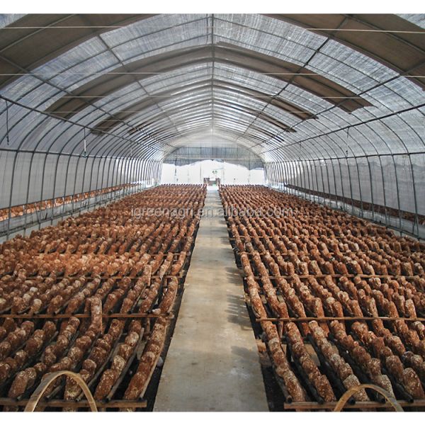 Single-Span PE Shade Net Tunnel Blackout Greenhouse for Mushroom Cultivation