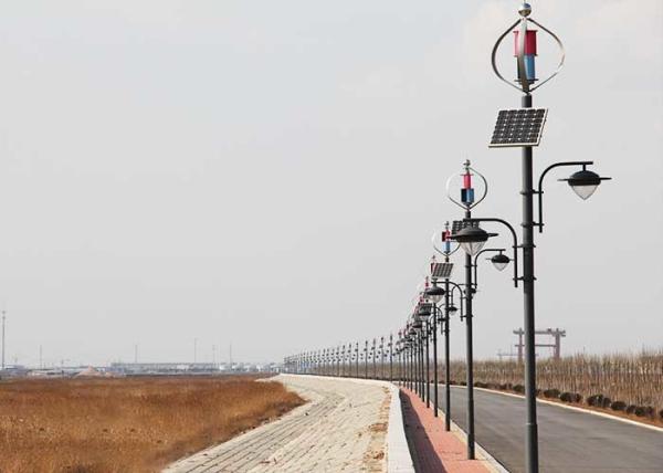 Professional Wind And Solar Hybrid Street Light System 80W Solar Panel