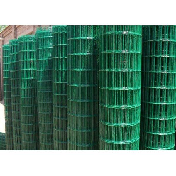 Low Carbon Powder Coated Steel Wire Fencing 2-6.0mm Dia With Euro Style