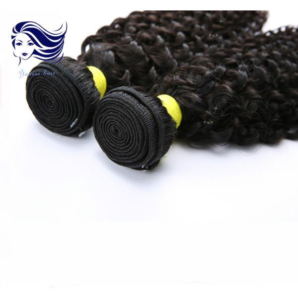 путать свободное естественное черное Джерри волос девственницы 24inch камбоджийский курчавое