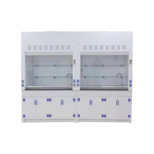 110V/220V Power Supply PP Fume Hood for Pharmaceutical/Lab/School from Xunling