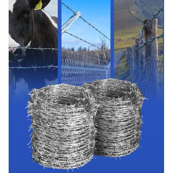 10kg In Roll Barbed Concertina Wire Safety Protection In Galvanized Fence