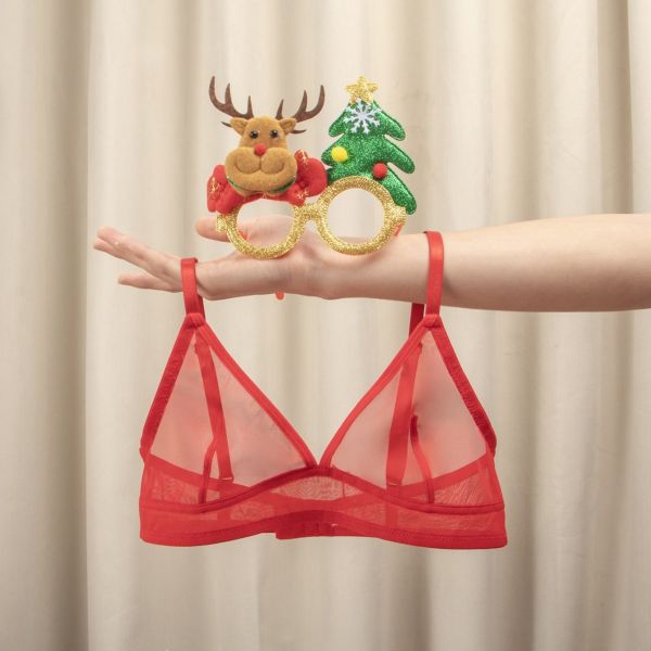 Transparent Mesh Erotic Bra Wholesale Price Xs-xxl Sizes Ladies Bra Underwear Hot Sexy Lace Wholesale Bra for Female