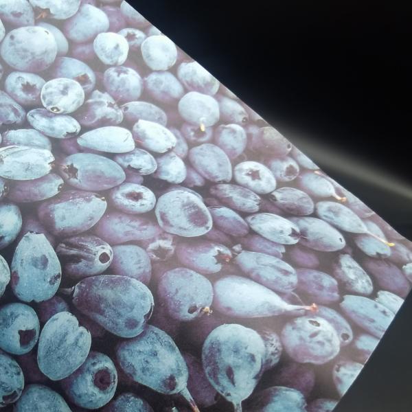 High Resolution Kraft Paper Packaging Bags Compostable Resealable Paper Pouches