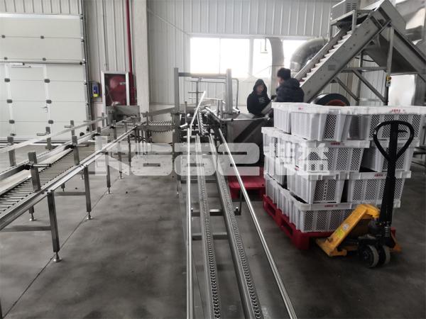 3 Layered IR Tunnel Conveyor Dryer Machine Fruit And Vegetable Tunnel And Continuous Belt Dryer