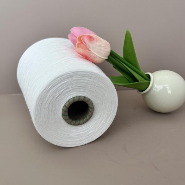 High Vortex Circula Thread 20S White Rayon Viscose Yarn 30S Polyester Viscose Yarn