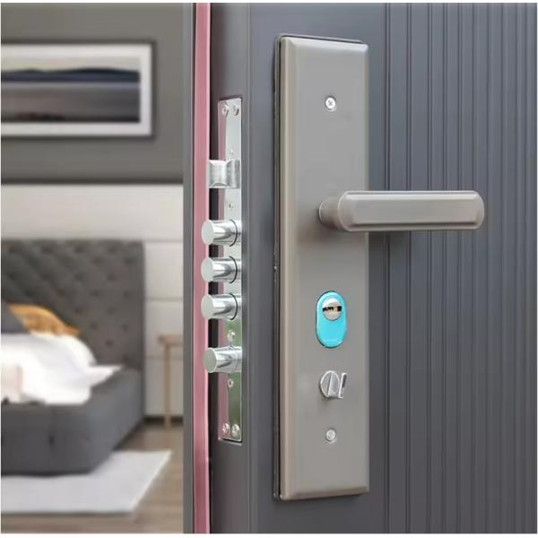 Modern Simple Design Steel Entrance Door for House Factory Anti-theft Swing Open Style Outdoor Application Interior Position