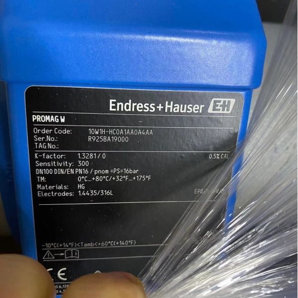 Endress+Hauser 10W1H-HC0A1AA0A4AA | Promag W Water Flow Meter, DN