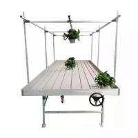Um vertical de dois cannabis da série 4x8ft cresce a cremalheira para o cultivo interno hidropônico