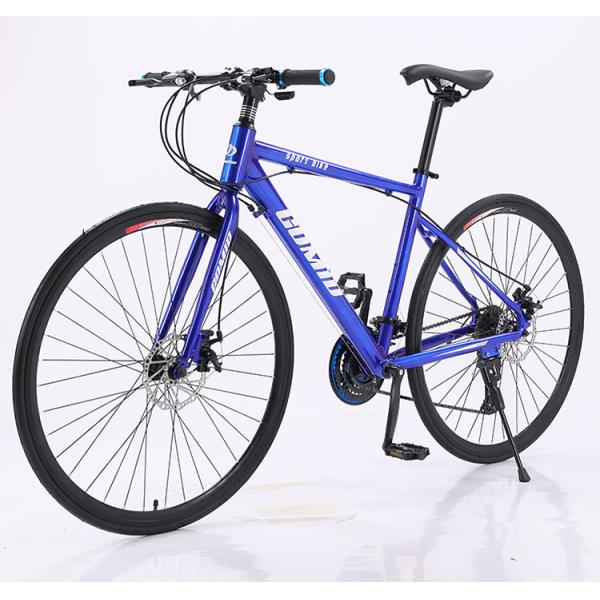 Customization Road Bike with Aluminum Alloy Frame and Disc Brake System 700C Mountainbike