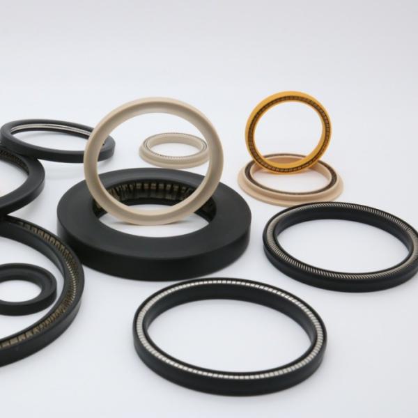 Food Grade PTFE PEEK Spring Energized O Ring 90 Shore A For Medical Equipment
