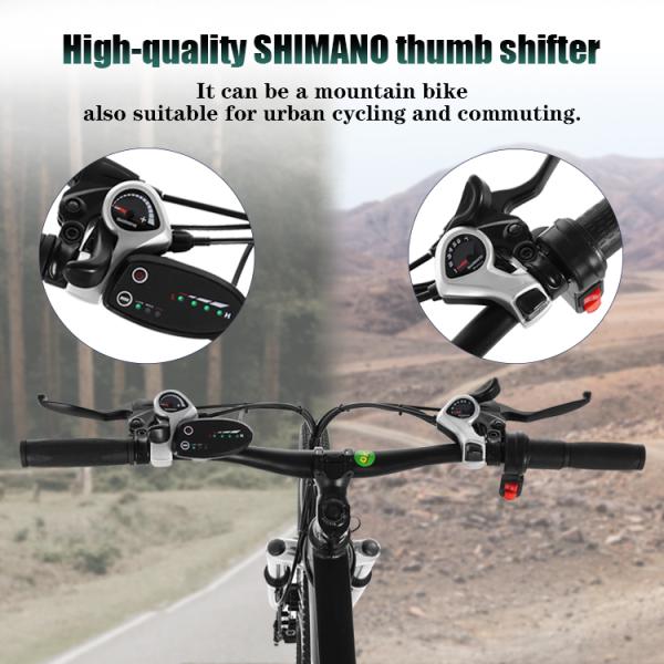 25km/H Long Range Electric City Road Bike 750w High Power Two Wheel