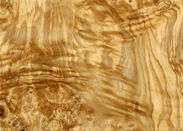 Olive Ash Burl Natural Wood Veneer for Panel Door and Furniture Industry from www.shunfang-veneer-com.ecer.com