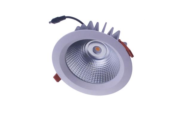 IP65 Waterproof a tampa de vidro clara conduzida branca morna exterior de Downlights 22W Downlights