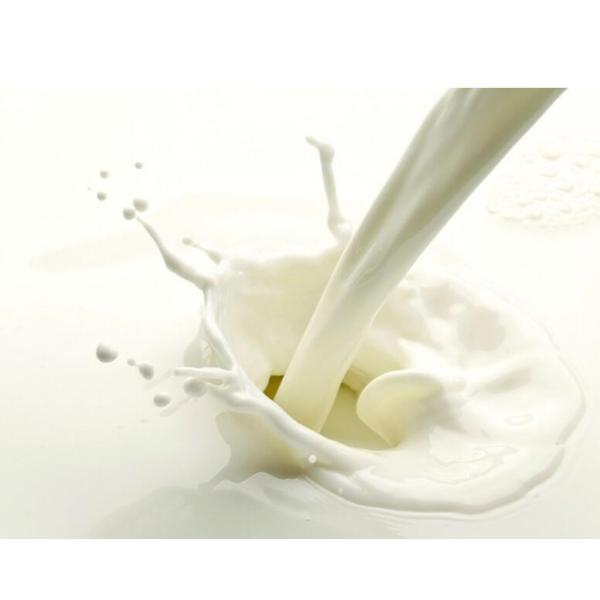 Heavy Duty Hand Commercial Immersion Blender Optioinal For Blender Tube And Whisk