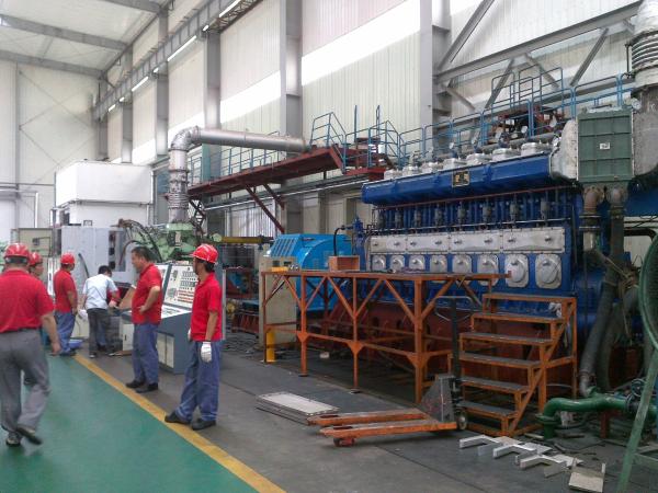 Customized HFO and diesel oil Genset Power Plant Water and air  Cooling Generator 0.4KV-11KV  500-1000RPM