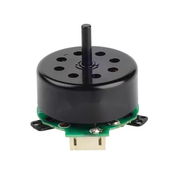 Motor de secador de cabelo 230V 0,9A 18500RPM 106W 350G.CM Motor BLDC de alta velocidade