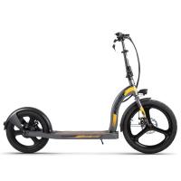scooter électrique léger de mobilité de cycle électrique de scooter de passager de 36v 10Ah 2