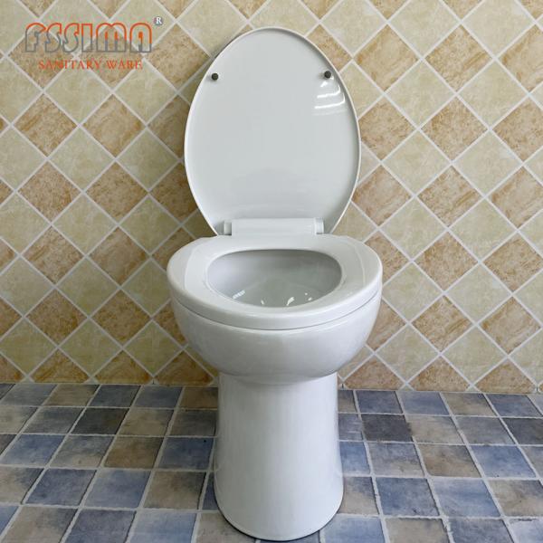 Шар полное FSSIMA Wc туалета керамического Washdown цельный