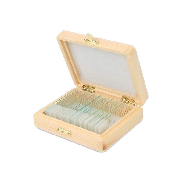 Biological Science Education PS25 Prepared Microscope Slide Set With Wooden Case
