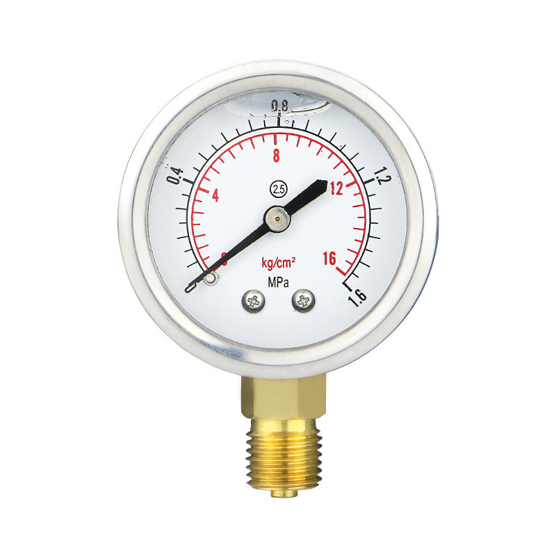 304ss Shell Brass Connection 50mm Oil Filling Water Gas Liquid Pressure Gauge for OEM