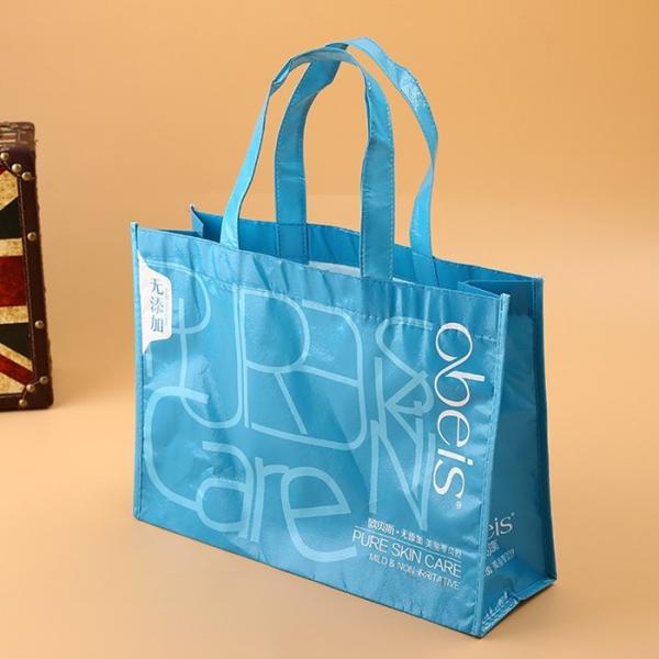 Reusable PP Non Woven Fabric Shopping Bags With Zipper , Non Woven Carry Bags